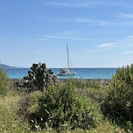 3 Pieces 4 Couchages Avec Parking Au Lavandou - Fr-1-251-316