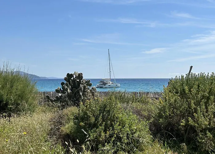 3 Pieces 4 Couchages Avec Parking Au Lavandou - Fr-1-251-316