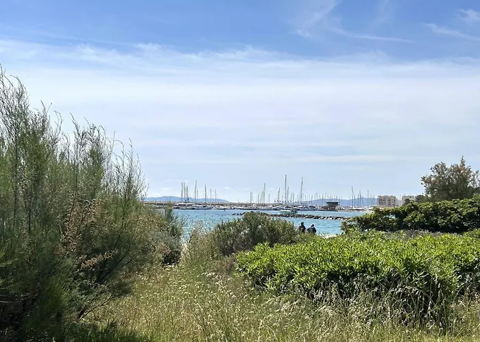 3 Pieces 4 Couchages Avec Parking Au Lavandou - Fr-1-251-316 Apartment